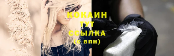 эйфоретик Дмитриев
