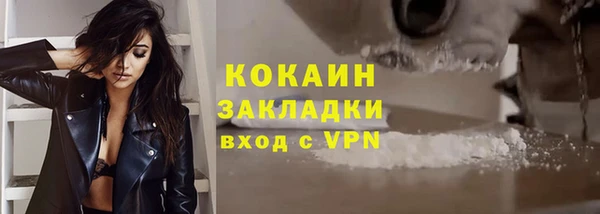 эйфоретик Дмитриев