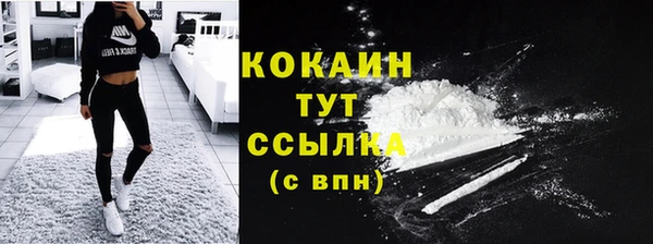 эйфоретик Дмитриев