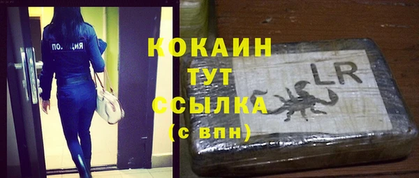 эйфоретик Дмитриев