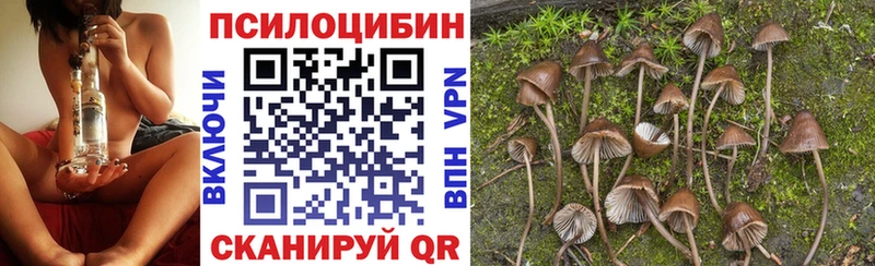 Галлюциногенные грибы GOLDEN TEACHER Купить Звенигово